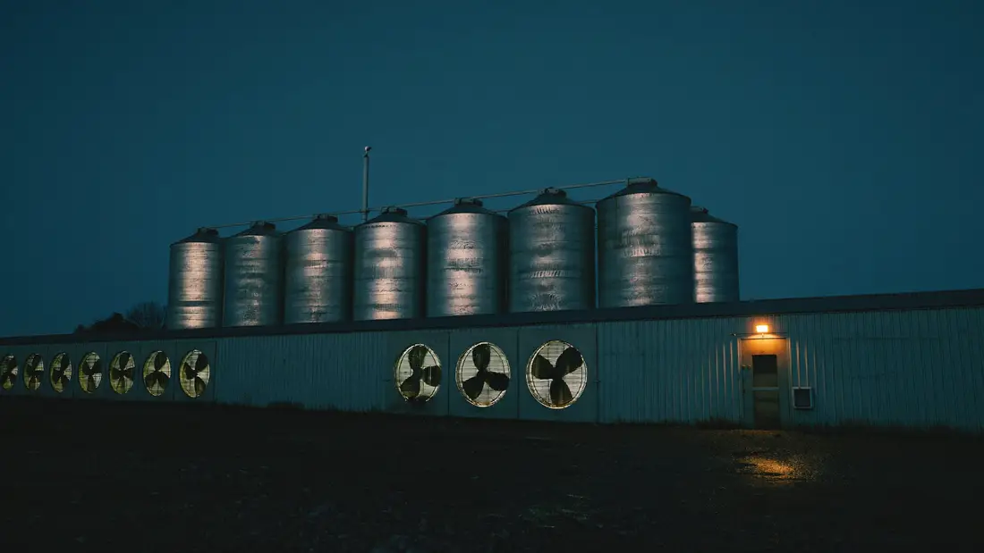 Fachada de un galpón avícola de noche, con la fila de extractores iluminada débilmente y ocho silos de alimento recortados contra el cielo azul oscuro.